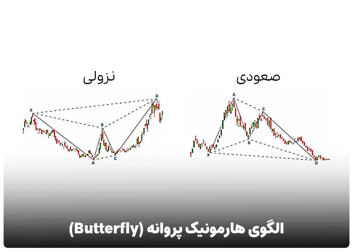 الگوی هارمونیک پروانه (Butterfly Pattern)