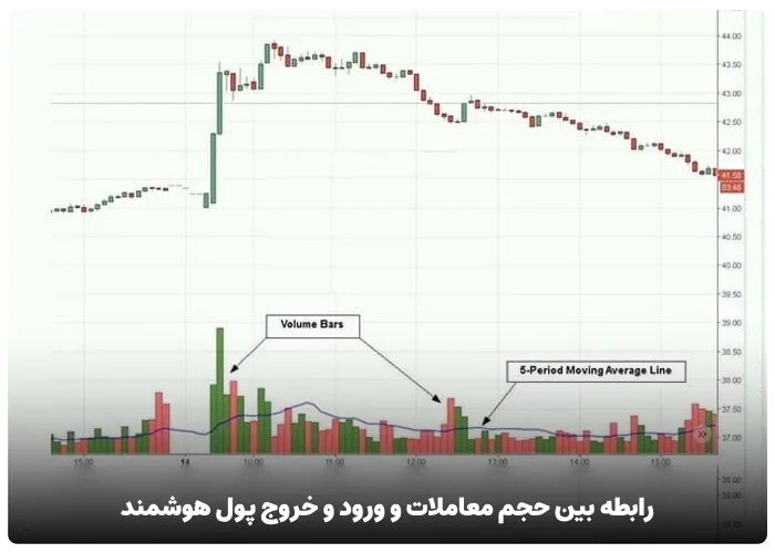 رابطه بین حجم معاملات و ورود و خروج پول هوشمند