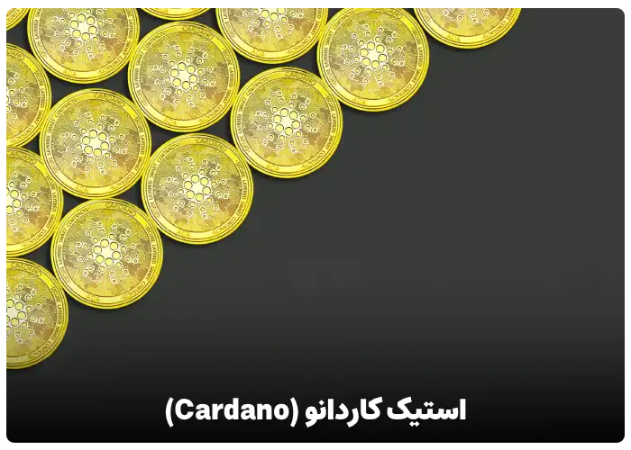 استیک کاردانو (Cardano)