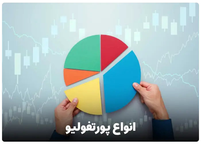 انواع پورتفولیو کدامند؟