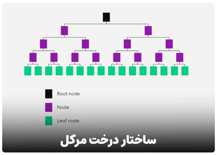 ساختار درخت مرکل