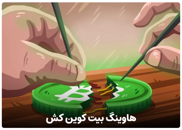 هاوینگ بیت کوین کش BCH