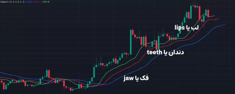 اجزای اندیکاتور الیگیتور یا تمساح