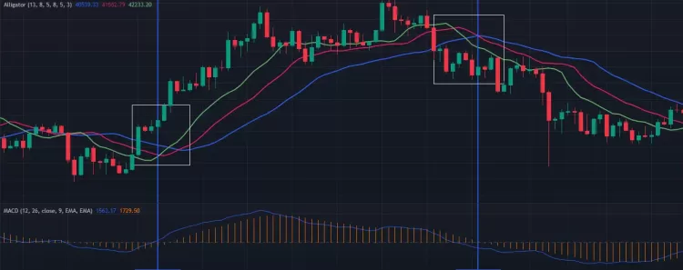 ترکیب اندیکاتور مکدی و الیگیتور