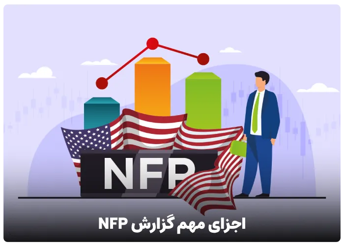 اجزای مهم گزارش NFP