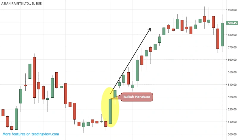 کندل Marubozu در پلتفرم تریدینگ ویو