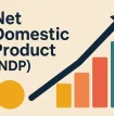 تولید خالص داخلی NDP